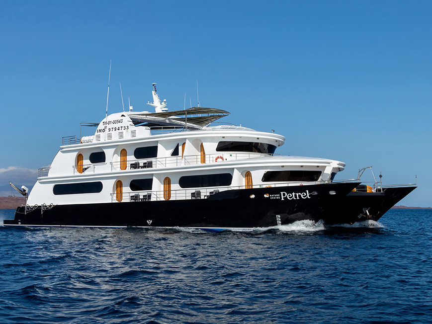 Petrel
