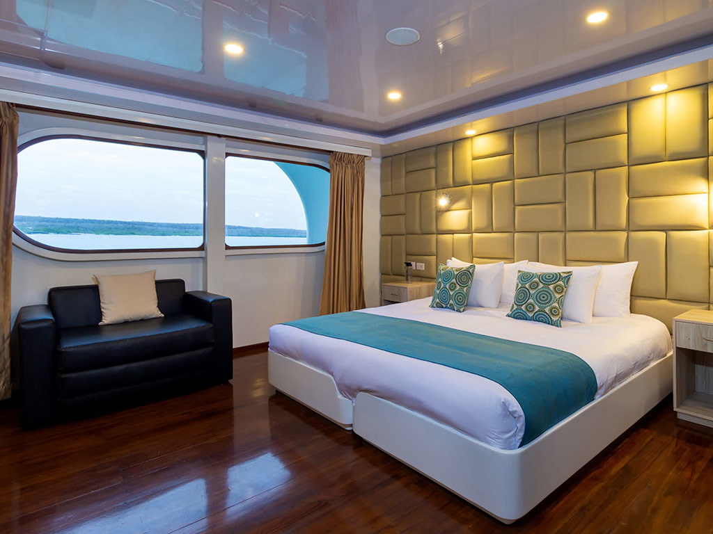 Petrel - Cabin 5