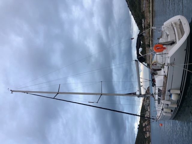 Sun Odyssey 36i Mala 14