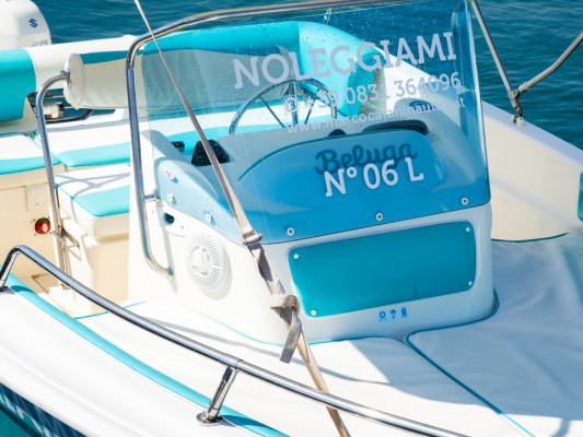 Motorboat Beluga 4